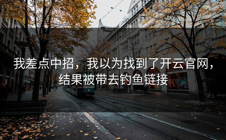 我差点中招，我以为找到了开云官网，结果被带去钓鱼链接